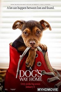  A Dogs Way Home (2019) Hindi Dubbed