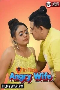  Angry Wife (2025) Triflicks Hindi Short Film