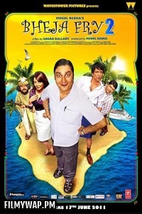  Bheja Fry 2 (2011) Hindi Movie