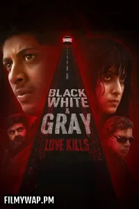  Black White And Gray Love Kills (2025) Hindi Web Series
