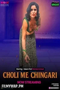  Choli Me Chingari (2025) MoodX Hindi Unrated Web Series