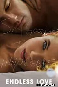  Endless Love (2014) Hindi Dubbed