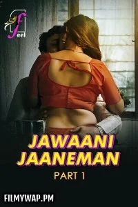  Jawaani Jaaneman (2025) Part 1 Feel Hindi Unrated Webseries