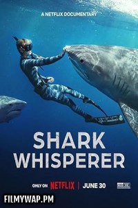  Shark Whisperer (2025) Hollywood Hindi Dubbed