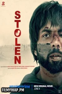  Stolen (2025) Hindi Movie