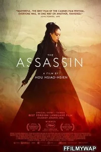  The Assassin (2015) Hindi Dubbed