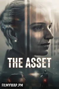  The Asset (2025) Season 1 Hindi Web Series