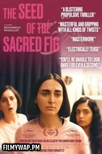  The Seed of the Sacred Fig (2025) Hollywood Hindi Dubbed